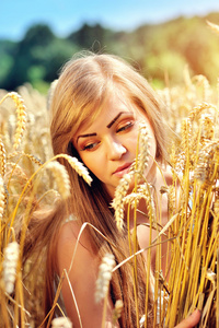 年轻漂亮的女人在金黄的麦田