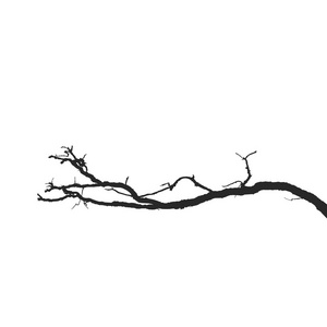 枯枝落叶图片-枯枝落叶素材-枯枝落叶插画-摄图新视界
