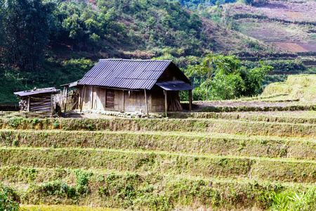 稻田和小屋。越南