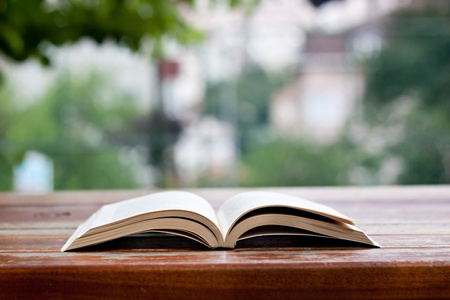 在公园里看桌子上的一本书照片