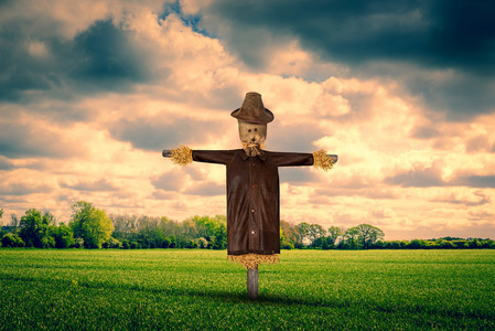 稻草人帽子图片