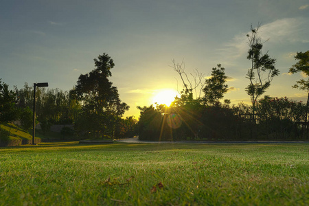 日落在公园 viewand 绿草可以用来显示或蒙太奇的产品