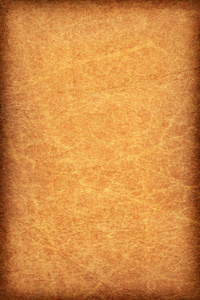 古色古香的动物皮肤羊皮纸 Vignette Grunge 纹理样本