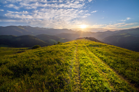 山夏天风景。草地和森林附近的树木