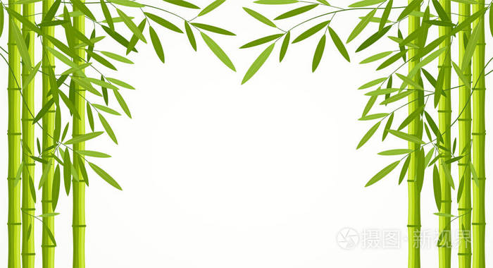 竹青茎具孤立在白色背景上的叶子插画 正版商用图片0cycjd 摄图新视界 竹青茎具孤立在白色背景上的叶子插画 正版商用图片0cycjd 摄图新视界