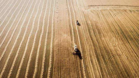 工作场和鬼脸小麦联合收割机。乌克兰。鸟瞰图
