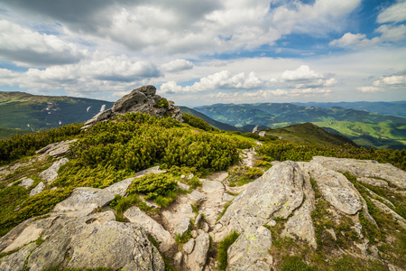 在喀尔巴阡山青水秀风景