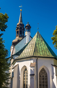 圣玛丽大教堂在塔林爱沙尼亚
