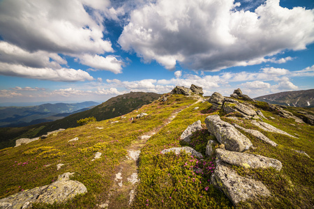 在喀尔巴阡山青水秀风景