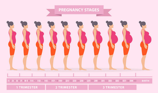怀孕后身体变化图片