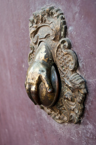 门的特写青铜门环