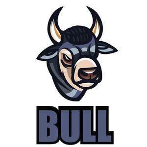 西班牙的公牛用大角奔跑着的传统奇观长着大角牛在西