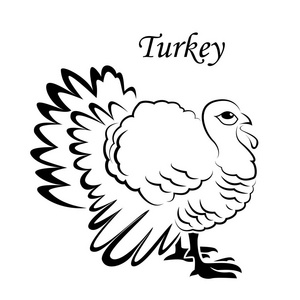 土耳其素描图标为 web 移动和图表。手工绘制的土耳其图标。土耳其矢量图标。白色背景上分离的土耳其图标