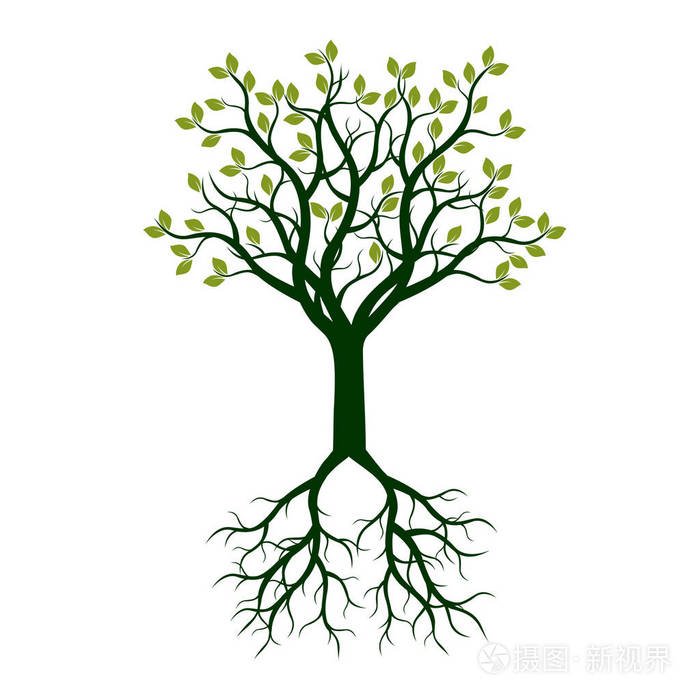 颜色的树根矢量图