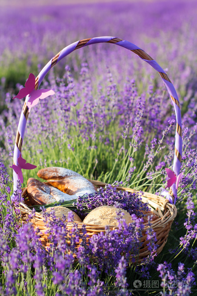 熏衣草花(薰衣草花的作用和功效)