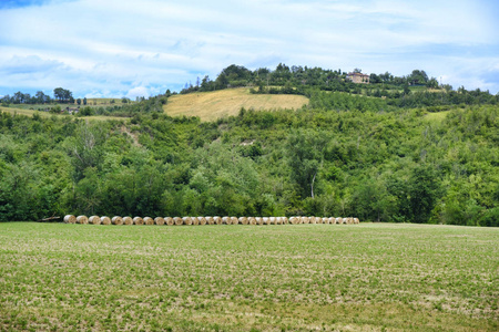 塞拉马佐尼附近的夏季景观莫迪纳意大利