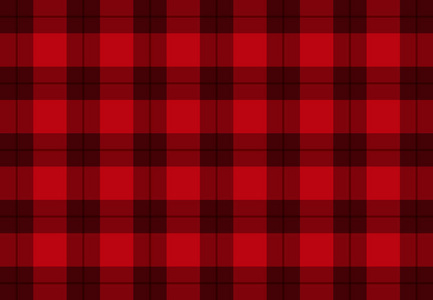 红颜色,矢量格子花纹的织物照片