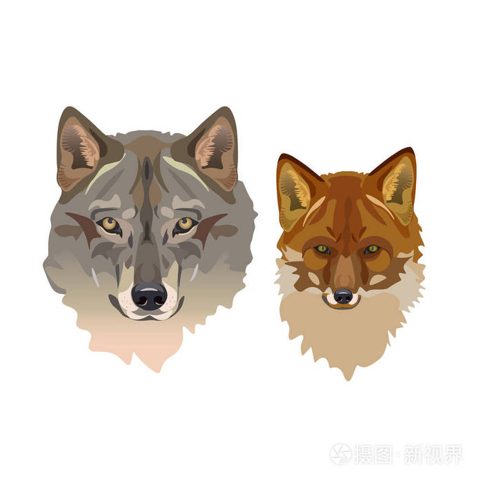 狼和狐狸插画 正版商用图片0czrgd 摄图新视界