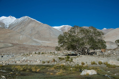 印度北部山地景观