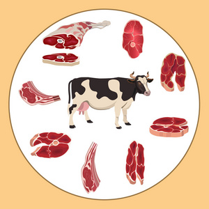 牛和牛肉的肉