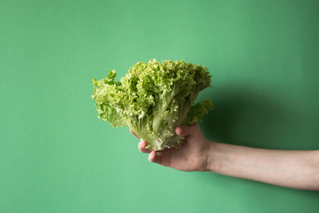 双手握在绿色背景上新鲜生菜