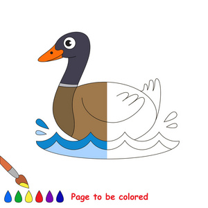 美丽的野鸭, 着色书教育学龄前儿童与容易的游戏水平, 孩子教育游戏颜色无色半由样品