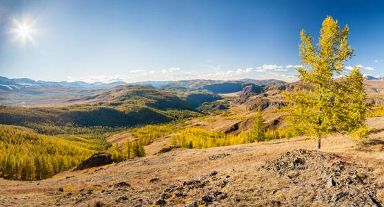 全景山景观