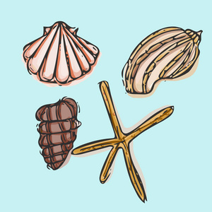 海贝壳符号集合
