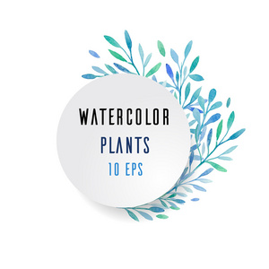 蓝色的水彩植物图片