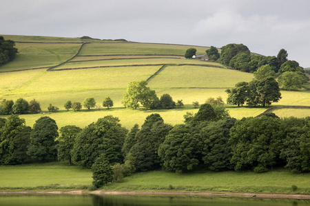 Ladybower 水库，青山区