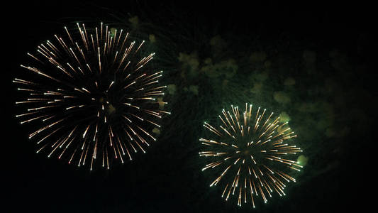 烟花在夜空中的节日