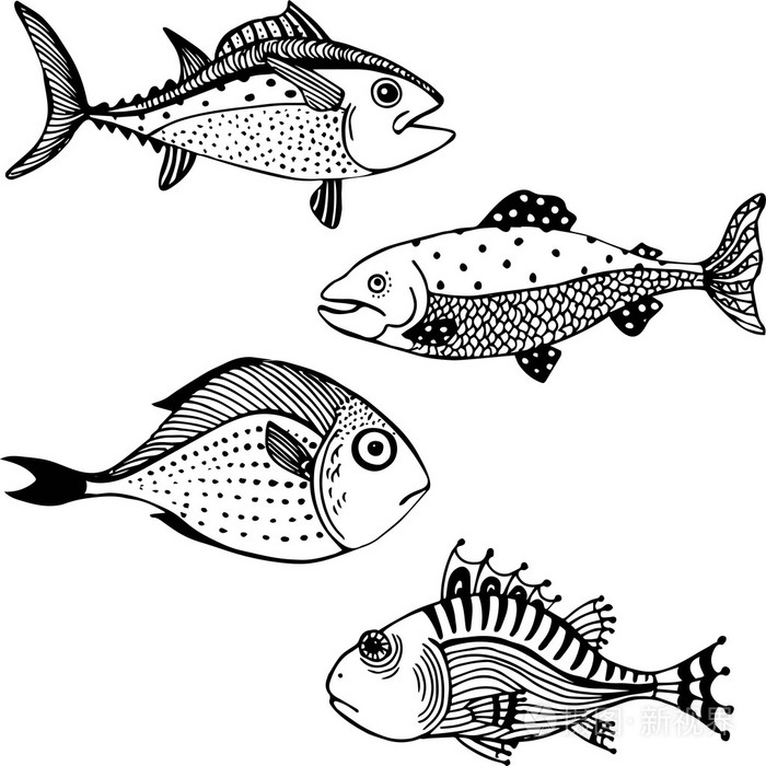 鳌鱼插画图片