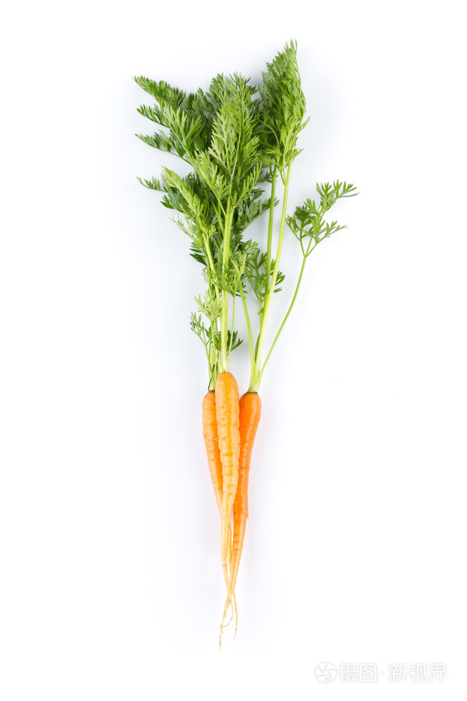孤立在白色背景上的新鲜胡萝卜