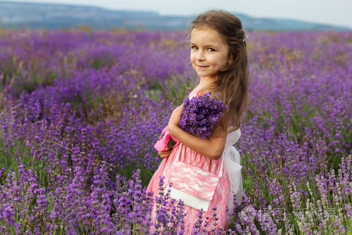 可爱孩子的小姑娘在束薰衣草田