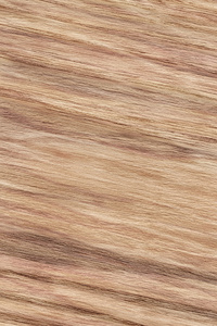 天然橡木木材单板遮住斑驳的 Grunge 纹理样本