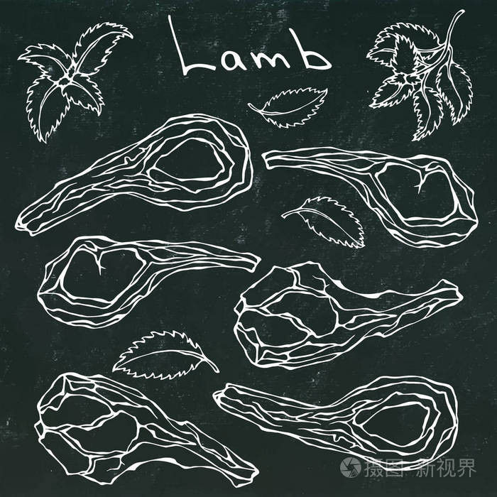 插画 原料羊排肋骨设置.现实的手绘涂鸦风格 sketch.