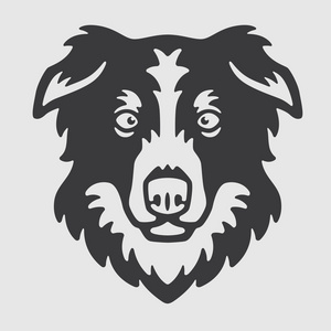 边境牧羊犬头标志吉祥物会徽照片