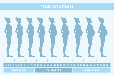一生变化剪影图片
