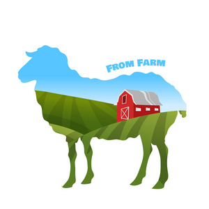 农场内羊剪影的风景.生态农场的概念照片