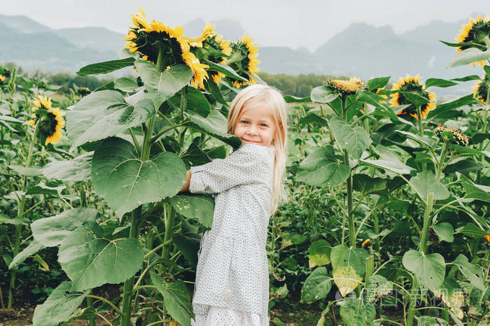 可爱小 3 4 岁的孩子女孩玩巨型向日葵字段中.在乡下的快乐童年.