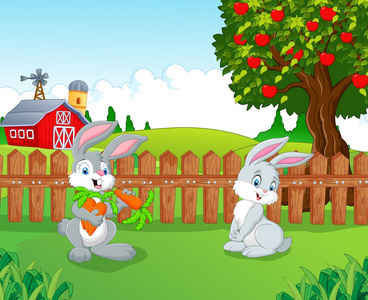 动漫里的军装动漫在农场里的小兔子照片