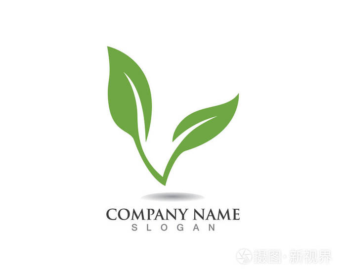 矢量树叶的绿色自然标志和符号