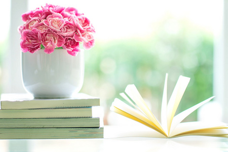 粉红色的康乃馨花图片-粉红色的康乃馨花素材-粉红色的康乃馨花插画