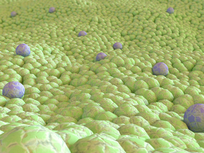细菌的背景。 绿色图像