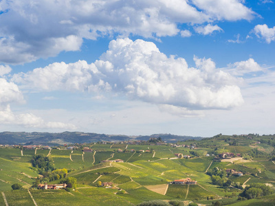 在皮埃蒙特的 Langhe 景观意大利