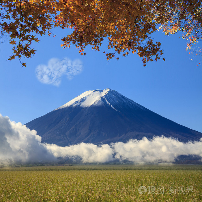 神圣的富士山在日本背景图像照片 正版商用图片0d1j60 摄图新视界 神圣的富士山在日本背景图像照片 正版商用图片0d1j60 摄图新视界