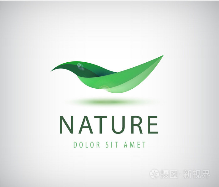 绿色的叶子,有机图标