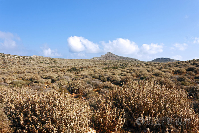 地中海灌木丛在克里特山上