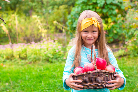 在阳光明媚的秋日红苹果的篮子里的小可爱女孩