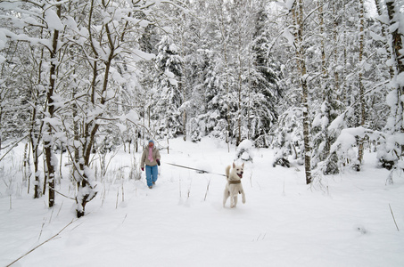 在冬天的树林中散步的狗的女人